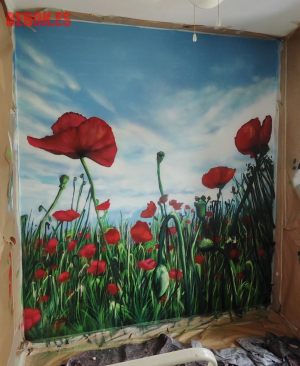Murales Amapolas Habitacion 3d Profundidad 300x100000
